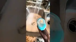 Is bleaching your cleaning bucket?