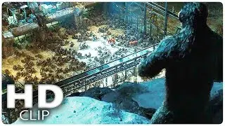 WAR FOR THE PLANET OF THE APES 