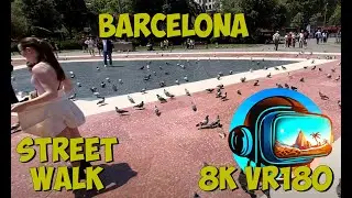 22 Barcelona Spain you need flocks of pigeons to be a major city in Europe  8K 4K VR180 3D Travel