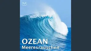 Wellen am Strand und sanftes Braunes Rauschen