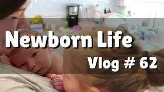 Newborn Life