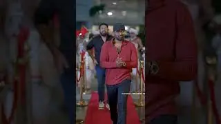 @ratta & @SirilAyya  | WILDISH - Glamorous red carpet walkthrough