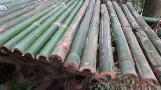 Acampamento Bushcraft de 5 dias Inverno