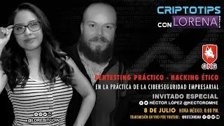 Pentesting Pr&aacute;ctico - Hacking &Eacute;tico en la Pr&aacute;ctica de Ciberseguridad Empresarial