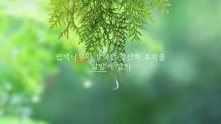 DalBam 2nd Video #skincare #relax #koreanbeauty #cosmetics