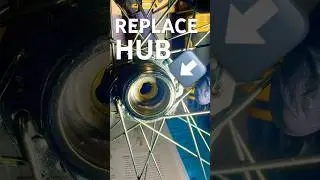 TROUBLE SHOOT MOUNTAIN BIKE REAR WHEEL: REAR WHEEL HUB DAMAGE BEYOND REPAIR & RECOMMEND REPLACE 🛞