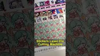 CO2 Laser Die-Cutting Machine for Stickers &ndash; Precision Cutting with No Yellow or Black Edges#laser