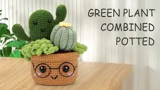 2 Potted