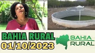 01/10/2023 BAHIA RURAL DE HOJE, BAHIA RURAL AO VIVO