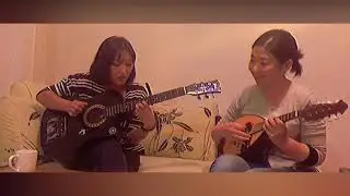 Joy of Convention guitar and mandolin cover