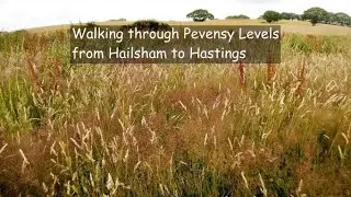 Hiking from Hailsham to Hastings in East Sussex | DJI Osmo | DJI mini 2
