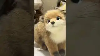 Adorable Puppies: A Heartwarming Journey | Lovely Animals Ep. 2