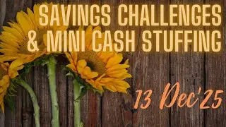 Savings Challenges & Mini Cash Stuffing / Reallocation | South African Cash Stuffer 🌻 🇿🇦