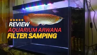 Aquarium Side Filter for Arowana Fish