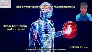 Golf swing Misconception 4: Muscle memory