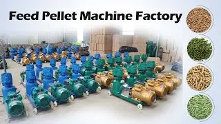 Online Visit! Poultry Feed Pellets Making Machine Factory | Bulks of Feed Pellet Mills for Sale
