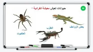 العلوم - الصف السادس - الدرس الخامس