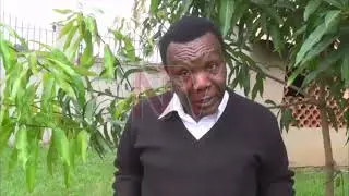 Bugisu farmers criticize Coffee agreement, as worst mistake