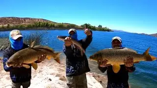 Lake Skinner Pescando Carpas Y Bagres 2019
