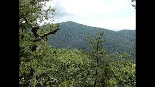 Short Mtn - George Washington National Forest