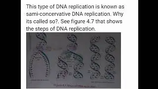 Biology form four chapter 4: generic materials and protein synthesis, lesson 2 DNA replication