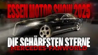 Exelero, Evo, Elektro-G & mehr: Die sch&auml;rfsten Sterne der Mercedes-FanWorld @ Essen Motor Show 2025