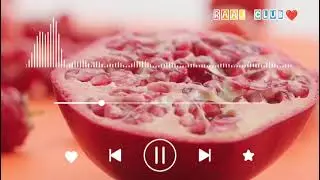 #surah muzamil #holyquran #surahmulkkitilawat #surahmuzammiltilawat 