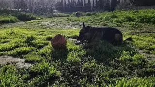 Finding Joy in the Little Things
