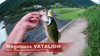 Megabass vatalion