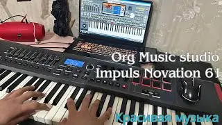 Org music studio  novation impuls61 #org #piano #novatioimpuls61