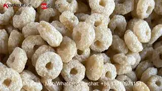 Snacks and Soybean Protein and Puffed Food Production Twin Screw Extruder Machine (Onplas)