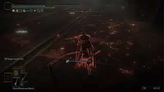 Elden Ring NPC invasion
