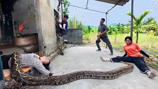  3 Brave Experts Rescue Ethnic Girl Attacked By Anaconda In Abandoned House
