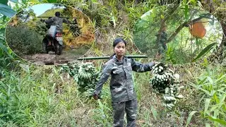 Kiếm tiền nơi hoang dã / Một ngày kiếm tiền trong rừng không dễ