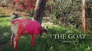 DPIH - &ldquo;The Goat&rdquo; official music video (directed by @EugeneHL)