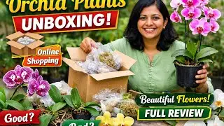 Online Orchid Plant Unboxing 🌸 | Beautiful Flowering Orchids | Full Review#onlineshopping