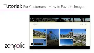 How to Use the Favorites Feature as a Visitor on a Zenfolio Photographer's Site