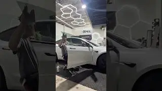 Tinting Tesla 🚘 #xpel #xpelprimexrplus #windowtint #ceramictint #tesla #teslamodel3