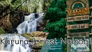 Exploring Karura forest Nairobi,(things to in Nairobi,)#magickenya ,#tembeakenya