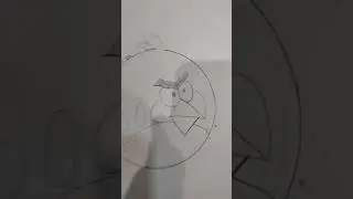 angry bird