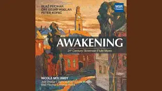 Sonatina, Op.5 for Flute and Piano: III. Vivace