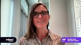 Cathie Wood: AI productivity gains will be &lsquo;astounding and shocking'