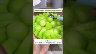 🍈Ice Cream Honeydew Melon🍧 #yourgarden #garden#plants #fruit #watermelon