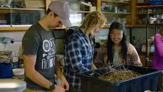 Pacific Rim Institute