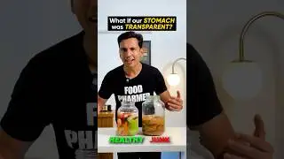 If humans had transparent stomachs?