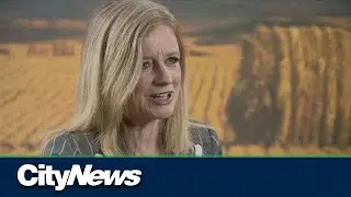 NDP Leader Rachel Notely Twitter-blasts Kenney and conservatives, blames UCP for wage disparities in