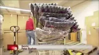 Feuerwerk Lagerverkauf bei Silag in Langenfeld - Planet Firework