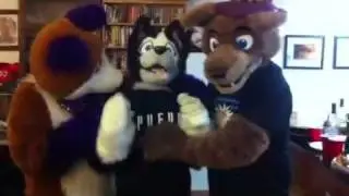 Quentin Coyote, Buddy, and Vin