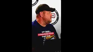 Dog's Guide to Living