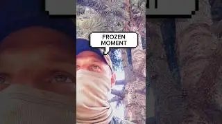 MOMENT